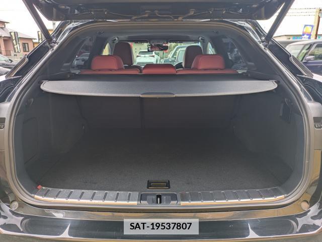 Lexus RX 2016-02 7798710-18