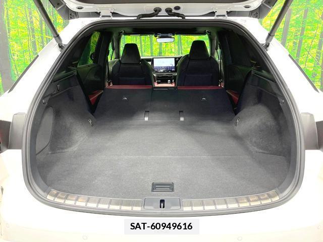 Lexus RX 2023 7798810-11