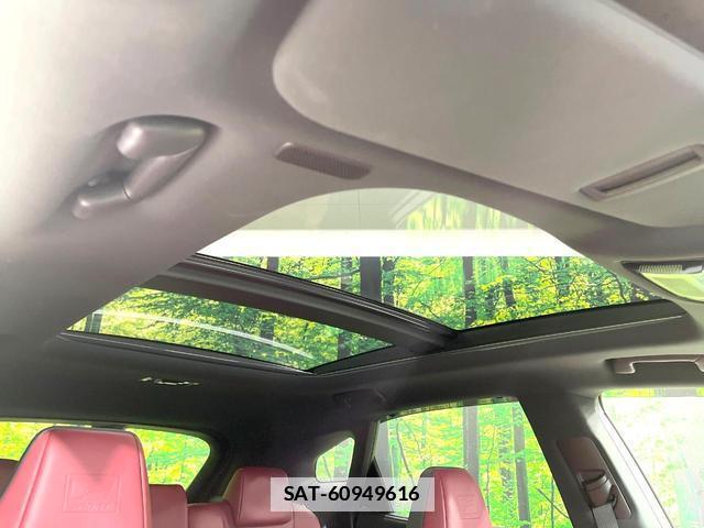 Lexus RX 2023 7798810-4