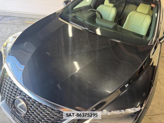 Lexus RX 2018-04 7798829-9