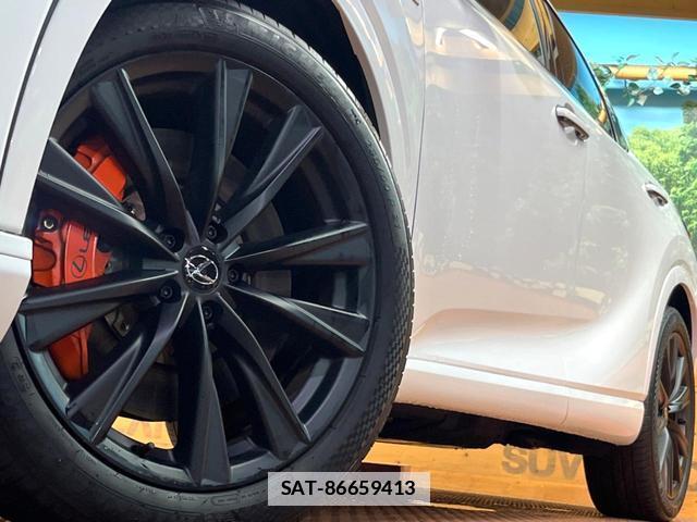 Lexus RX 2023-11 7799118-14