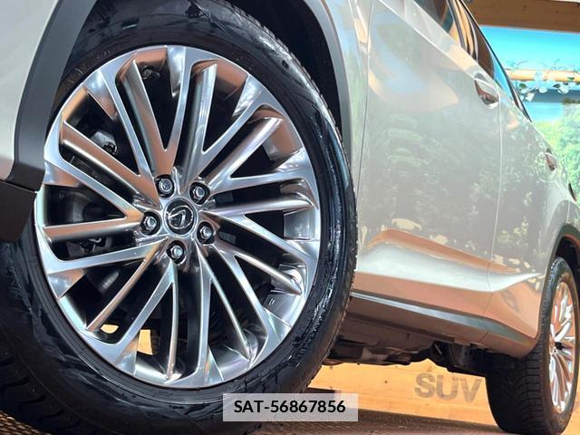 Lexus RX 2020-06 7799119-14