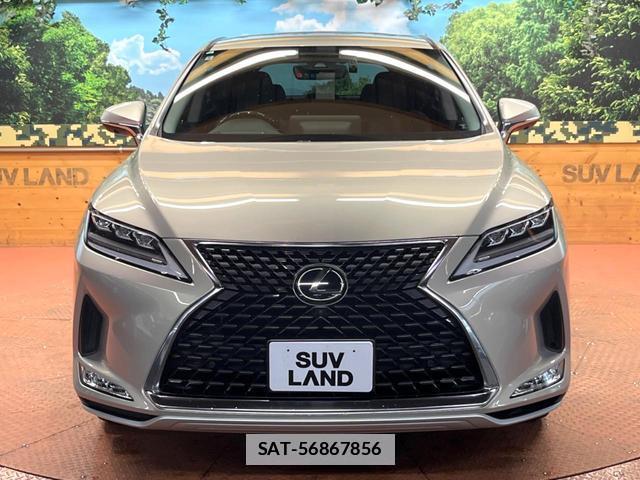 Lexus RX 2020-06 7799119-15