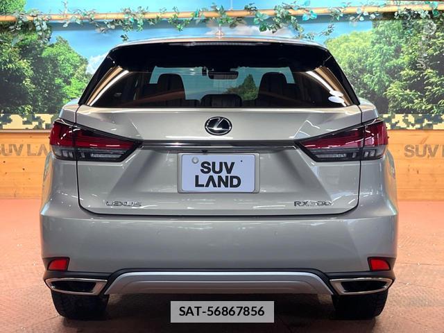 Lexus RX 2020-06 7799119-16