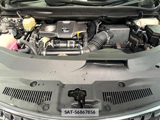 Lexus RX 2020-06 7799119-17