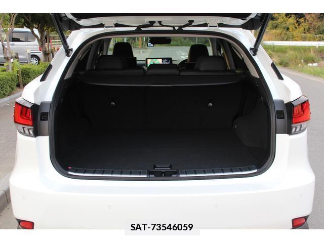 Lexus RX 2019-10 7799649-16