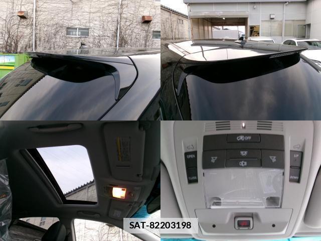 Lexus RX 2013-05 7800509-14