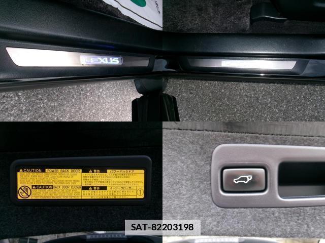 Lexus RX 2013-05 7800509-17