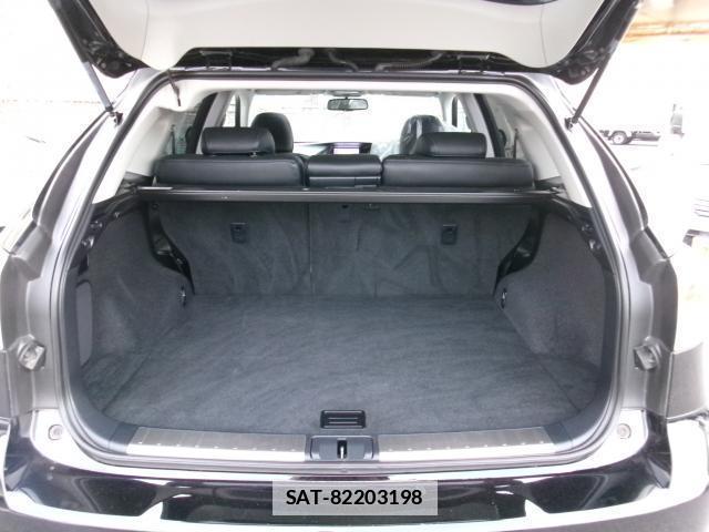 Lexus RX 2013-05 7800509-18