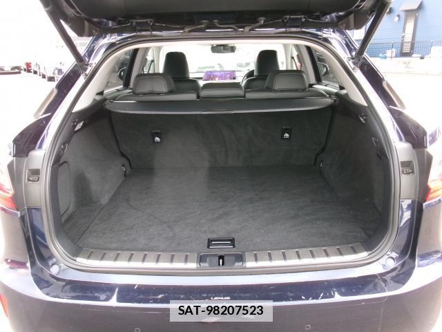 Lexus RX 2016-11 7800516-18