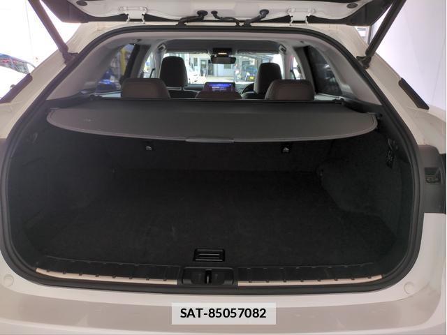 Lexus RX 2016-06 7804078-15