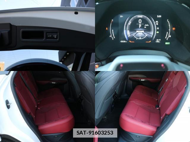 Lexus RX 2023-11 7805824-13