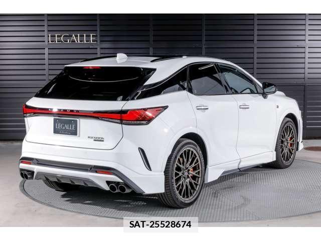 Lexus RX 2023-10 7806043-13