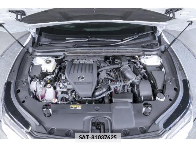 Lexus RX 2023-07 7806044-7