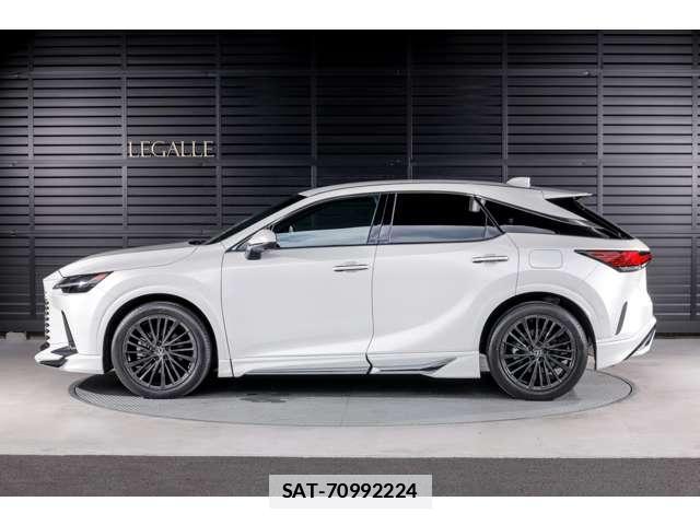 Lexus RX 2023-07 7806048-10