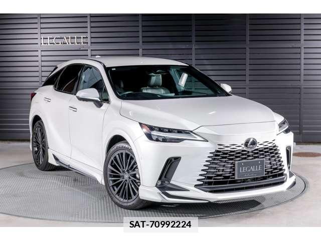 Lexus RX 2023-07 7806048-11