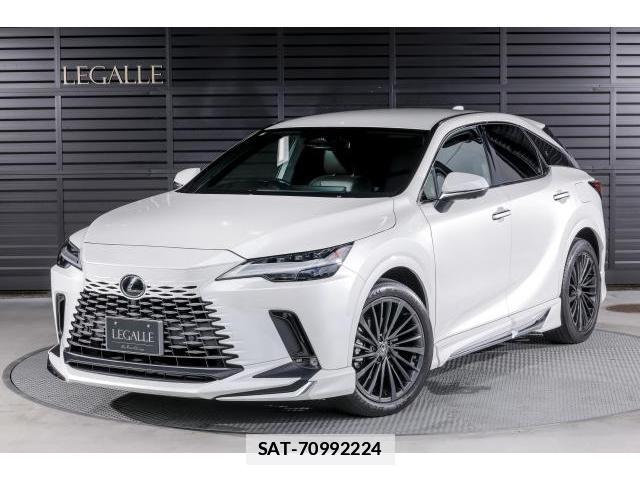 Lexus RX 2023-07 7806048-12
