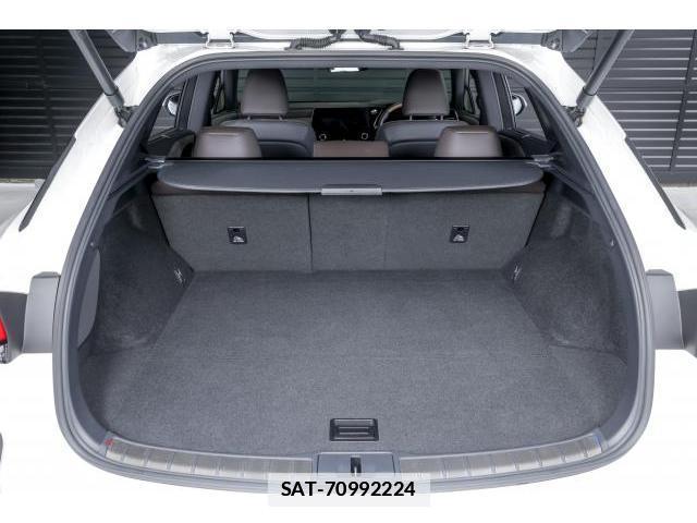 Lexus RX 2023-07 7806048-18