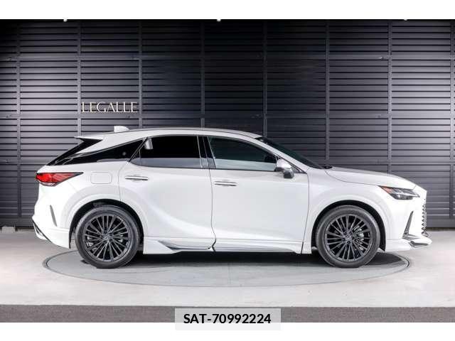Lexus RX 2023-07 7806048-3