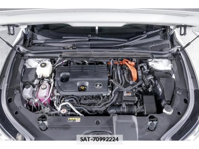 Lexus RX 2023-07 7806048-7
