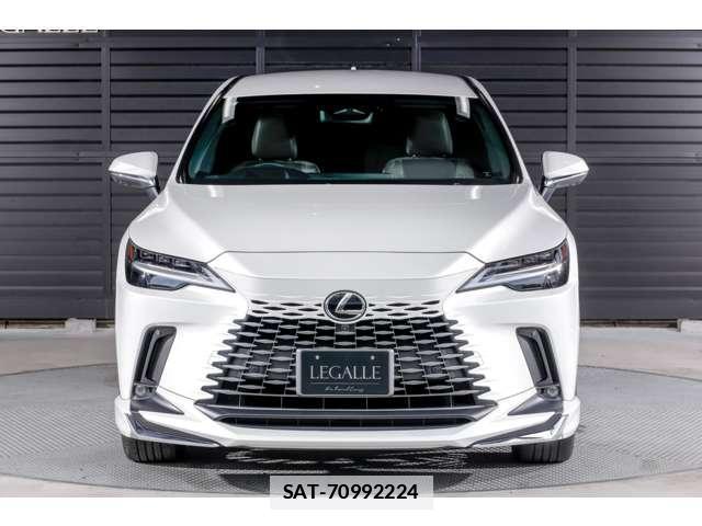 Lexus RX 2023-07 7806048-9
