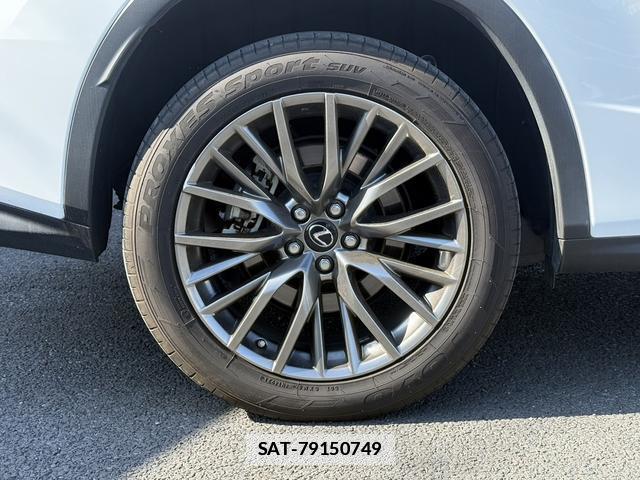 Lexus RX 2018-10 7809394-16