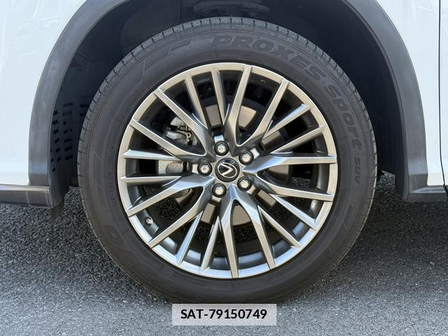 Lexus RX 2018-10 7809394-17