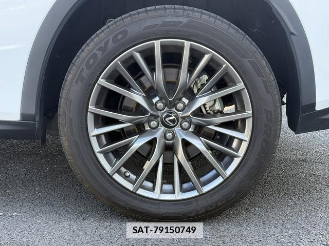Lexus RX 2018-10 7809394-8
