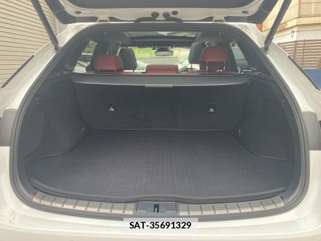 Lexus RX 2025-08 7810194-5
