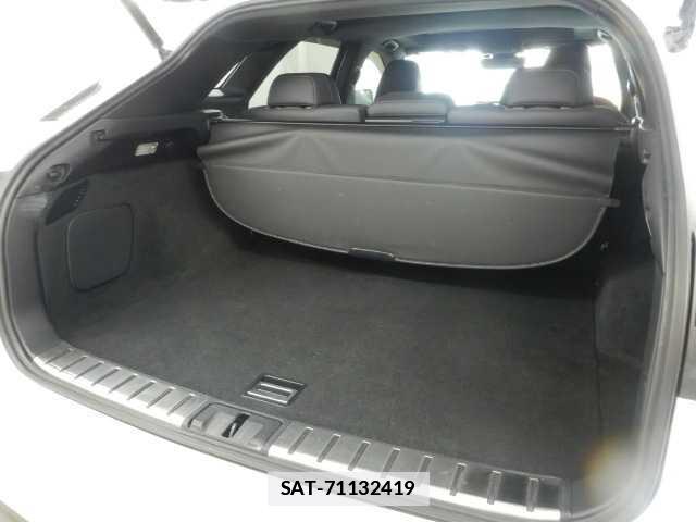 Lexus RX 2016-05 7810874-18