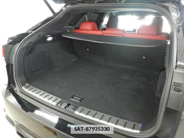 Lexus RX 2020-02 7810884-18