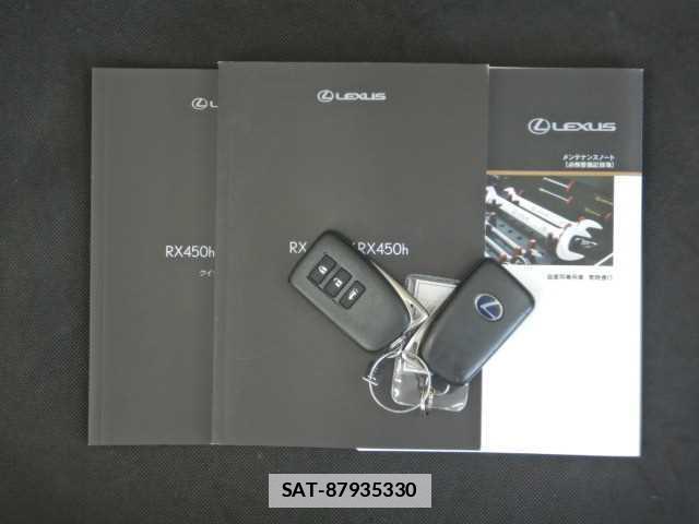Lexus RX 2020-02 7810884-19
