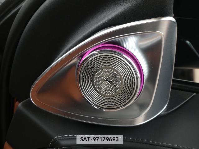Mercedes Benz S-CLASS 2023-03 7798483-14