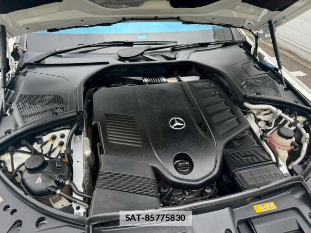 Mercedes Benz S-CLASS 2021-05 7806195-19