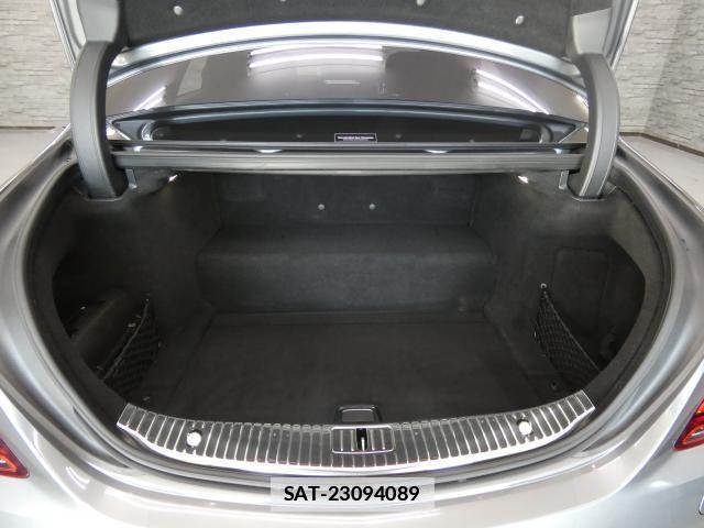 Mercedes Benz S-CLASS 2019-05 7809736-10