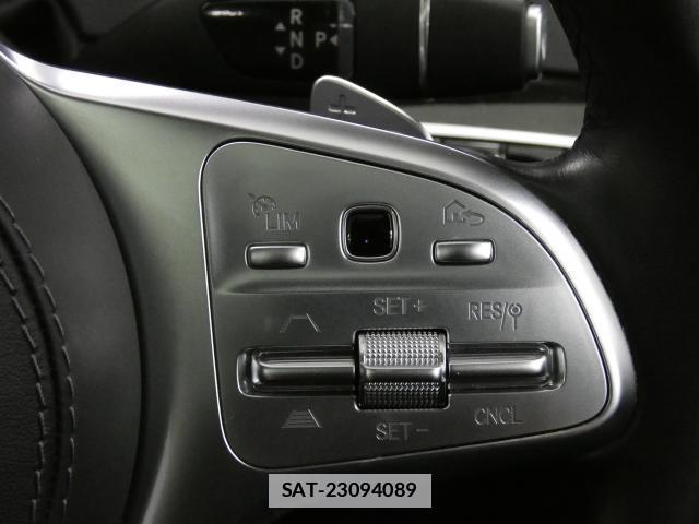 Mercedes Benz S-CLASS 2019-05 7809736-15