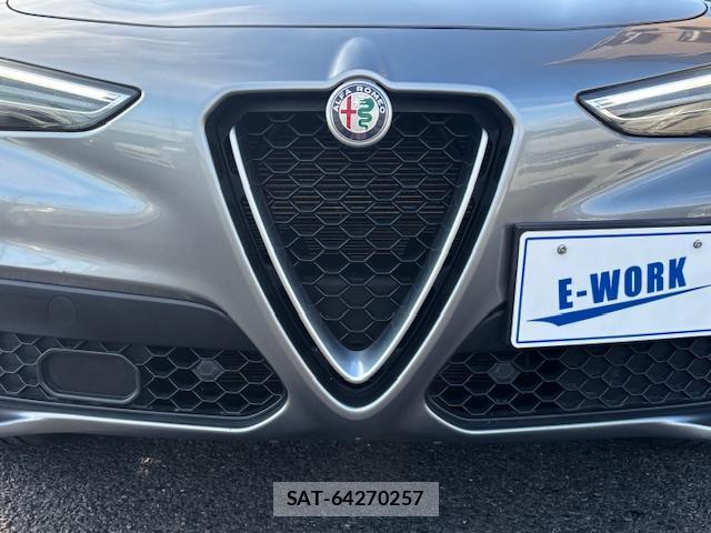 ALFA ROMEO STELVIO 2019-01 7809781-19