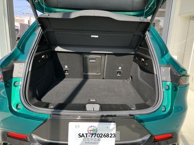 ALFA ROMEO Tonale 2024-08 7803795-19