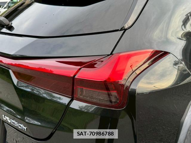 Lexus UX 2018-12 7794327-1