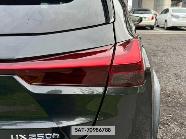 Lexus UX 2018-12 7794327-13