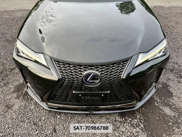 Lexus UX 2018-12 7794327-15