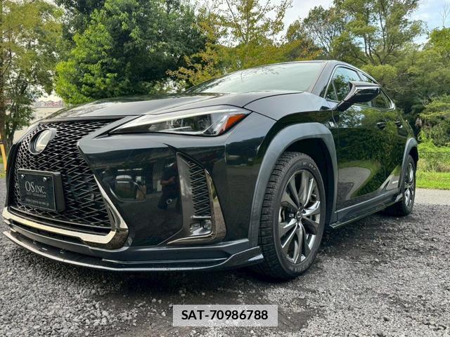 Lexus UX 2018-12 7794327-8