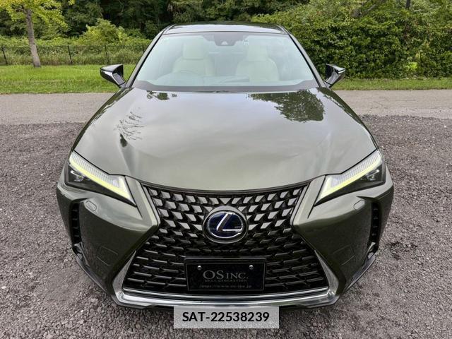 Lexus UX 2019-01 7794330-15