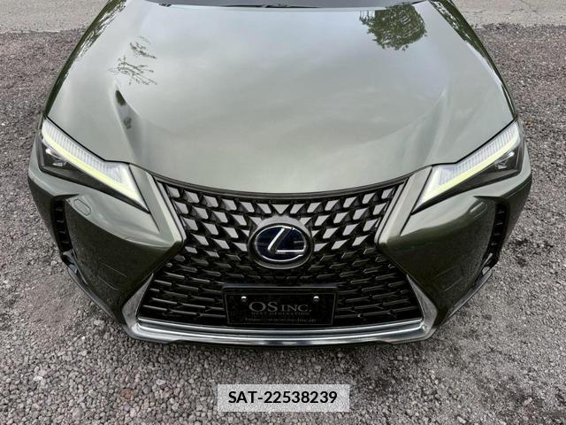 Lexus UX 2019-01 7794330-16