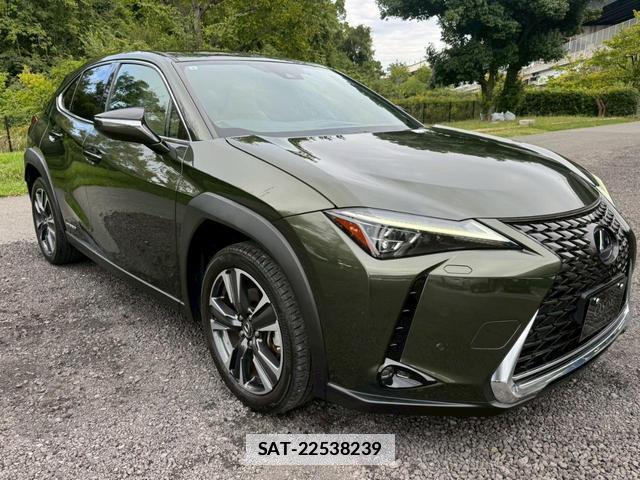 Lexus UX 2019-01 7794330-3