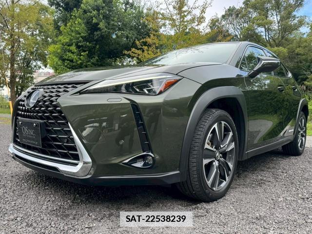 Lexus UX 2019-01 7794330-4