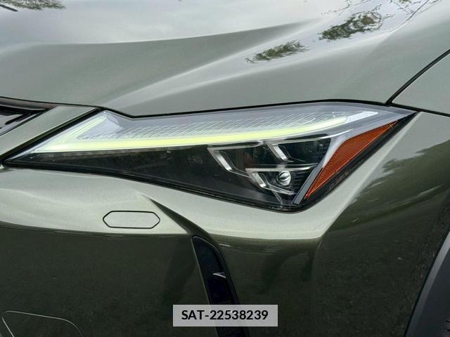 Lexus UX 2019-01 7794330-5