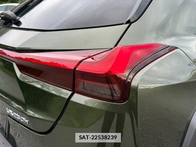 Lexus UX 2019-01 7794330-9