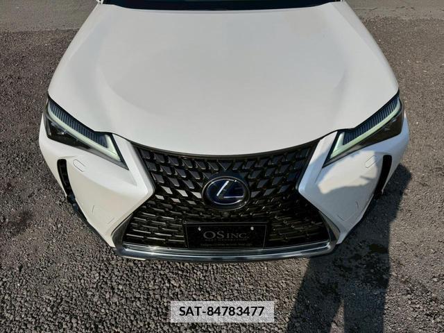 Lexus UX 2019-02 7794337-13