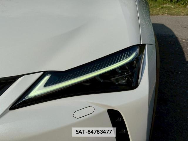 Lexus UX 2019-02 7794337-5